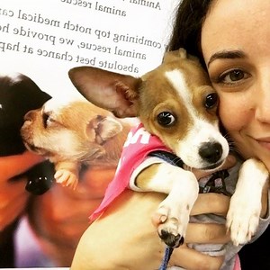 We're back again with #adoptme #sunday at #centinelafeed !!! Meet ButterBean the #boxer, Muffy the #cockapoo , Benji the #puppy , Hillary and Haylie the #chihuahua , Einstein the #schnauzer #terrier !! #adoptdontshop #marinadelrey #animalwellnessfoundation #dogstagram #catsofinstagram #cat #dog #nkla #losangeles #venicebeach #venice #adopt #rescue #volunteer #savealife | Animal Wellness Foundation