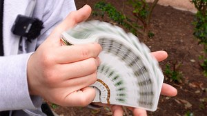 18 reactions | Buzzsaw Cardistry Tutorial #cardistry #cardist #flourishes #flourish #cardistrytutorial #cardistrylife #cards #playingcards #tutorial | Jose Reyes | Facebook