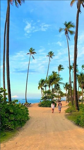 Coco Beach Blvd. Rio Grande Puerto Rico🇵🇷
