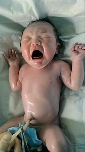 6.1K views · 47 reactions | Born Big and Strong This Baby Amazed Everyone #HealthyBaby #fetus #cutebaby #facts #newborn #babycare | Gautam Ashish | Facebook