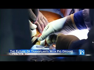Health News 18: The Future Of Transplants With Pig Organs