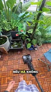 33K views · 444 reactions | Mình 40 Tuổi và đã ở nhà được 2 năm fulltime .. có ai tình cảnh giống mình ko ạ ?? #RoborockVietnam #F25AcePro #maylaunhataobot | Vũ Minh Trà | Facebook