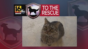 16 To The Rescue: Tigger