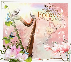 104 reactions · 28 shares | Gifs Animated Cards on Reels | Facebook