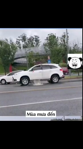 585K views · 1.6K reactions | HÃY KIỂM TRA NGAY 5 LỖ THOÁT NƯỚC NÀY TRÊN XE CỦA BẠN ☎️010-9160-2230 #otouytinhoaphat #ô_tô_đại_phát #trả_góp_100%  #trả_góp_visa_e7_f2_f5_f6_quốc_tịch | Ô Tô Uy Tín Hòa Phát | Facebook