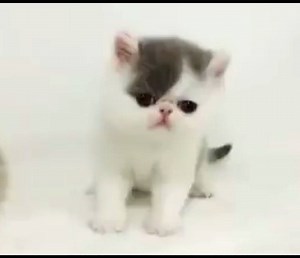 1.4K views · 78 reactions | Art Senses - идеи за дома и градината on Reels | Facebook