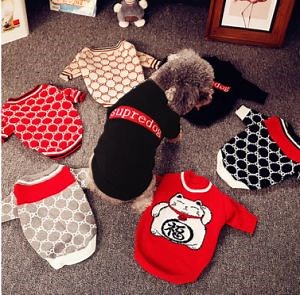[Hot Item] Luxury Designer Dog Clothes Manufacturer Winter Pet and Accessories Cute Warm Dogs Clothes