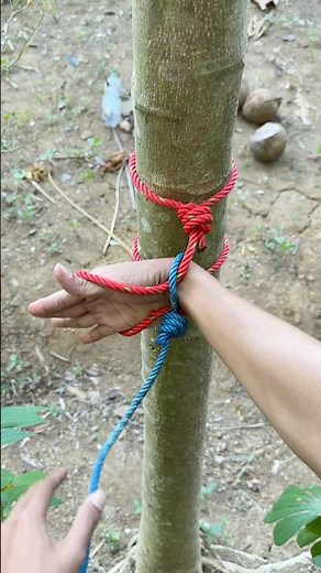 How Ancient Escape Techniques Make Ropes Useless Against Me