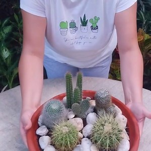 146K views · 7.7K reactions | How to Make Beautiful Cactus...