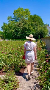 Rapperswil, Switzerland. .🎥 By: @travel.lovers.channel..#travel #familytravel #travelphotography #travelgram #traveler #travellover #naturelover #adventurevibes #tripadvisor #traveltheworld #naturephotography #familytrip #vacation #adventuretravel #familytime #switzerland #travelswiss #alps #interlaken #besthotels #travelgoals #hotelreview #nature #traveltheworld | Travel Lovers Channel