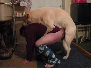 Male owner is mounted by his large dog