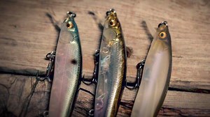 3 Jerkbait Color Selection Guidelines That Produce