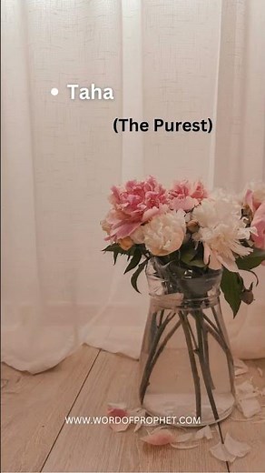 99 Names of Prophet Muhammad: Allah ﷻ has called Prophet #Muhammad ﷺ with different names in Quran