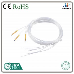 [Hot Item] Screw-in Rtd PT20 Temperature Probe with Connecting Cable 2-Wire Sensor