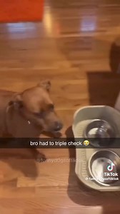 🤣🤣 | Direct Pets - Berwick Upon Tweed