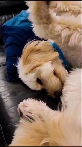 3.7K views · 17 reactions | ✨ Who doesn’t love a calm and chilled ?...