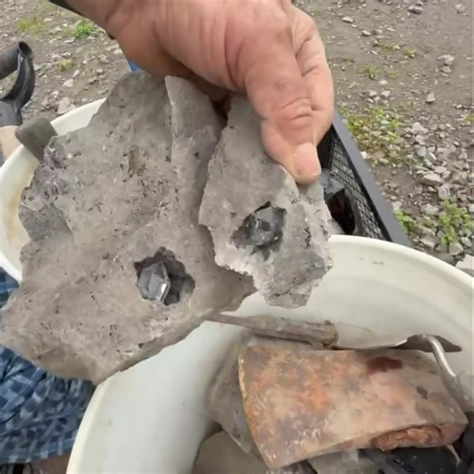 Check out this incredible find at Herkimer Diamond Mines! Frank—one of our passionate on-site miners—loves seeing what guests uncover during their mining adventures. This guest struck Herkimer gold (well, quartz!) with an amazing crystal discovery, and Frank was right there to capture the moment. If you're visiting the mines and spot Frank, be sure to show him your finds—you might just end up featured next! #MiningAdventure #FamilyGetaway #HerkimerDiamonds #gems #herkimerdiamondmines #HerkimerDi