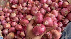 111K views · 2.4K reactions | प्याज़ के भाव 23 अप्रैल 2025 | Prince Patidar Ujjain | Facebook