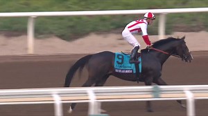 BRICKS AND MORTAR remains undefeated in 2019 with a victory in the Longines #BreedersCup Turf for Trainer Chad Brown with Jockey Irad Ortiz, Jr. on the mount for Klaravich Stables! #BC19 | FanDuel Racing