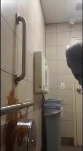 Public bathroom diarrhea explosion