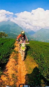 Lost in the lush serenity of the tea plantations—giving a hand to experience the art of tea picking.🌱 | Frontier Travel Vietnam