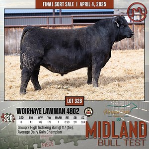 View Lot Video | Western Livestock Journal