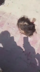 Aftermath! Air India Plane Crashes After Take-off