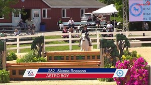 Astro Boy to the top 🚀 Astro Boy ridden by Sienna Rossano take 🥇 in the $3000 Medium Pony Hunter O/F Conformation class at the Devon Horse Show. | USEF Network