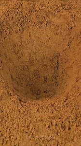 Créez votre propre mini paradis FAIT MAISON ! | Brico Monsieur