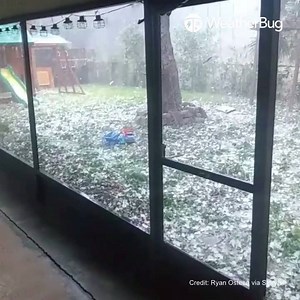 14K views · 117 reactions | Florida was bombarded with hail on Wednesday, March 27. The NWS issued a severe thunderstorm warning for Merritt Island, Rockledge, and Cocoa. Look at the size of the hail bouncing around a backyard in Cocoa, FL . #wx #weatherbug #knowbefore #hailstorm #florida #fl #cocoa | WeatherBug | Facebook