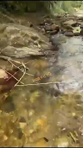 Body found in La Florissante river . | Angels of Trinidad and Tobago