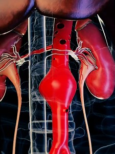 338K views · 1.9K reactions |  퐒퐄퐍퐘퐀퐋퐄퐒 퐍퐀 퐈퐓퐎 퐍퐆 퐔퐑퐈퐂 퐀퐂퐈퐃!  ❌...