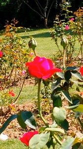 413K views · 28K reactions | Natural Scenery view #NaturalBeauty | Islam My Passion | Facebook