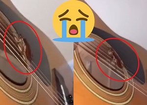 Viral Video: Man wakes up to cockroach playing his guitar