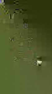 Dawit Dreams on Reels