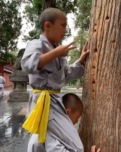 Shaolin Iron Zen Finger Training