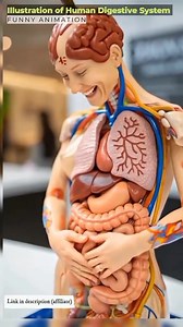 2.6K views | Une illustration du système digestif humain par l'IA. | Zah Béatrice Onyxe | Facebook