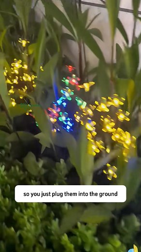 6.3K views · 43 reactions | Cherry flower Solar Garden Lights Outdoor, | Terra Nursery | Facebook