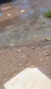 12 reactions | ‼️ALÔ SAERP DE RIBEIRÃO PRETO SP‼️ MORADORA GRAVA VÍDEO DE ESGOTO NA RUA FLÁVIO CASA NOVA JÚNIOR NA ALTURA DO NÚMERO 207 NA COMUNIDADE NÚCLEO VIDA NOVA. MORADORES ESTÃO PEDINDO UMA PROVIDÊNCIA URGENTE! #SAERP #esgoto #PrefeituradeRibeiraoPreto | A Voz da Cidade RP | Facebook