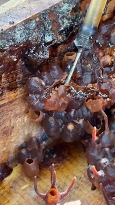 2M views · 19K reactions | Keindahan Alam on Reels | Facebook