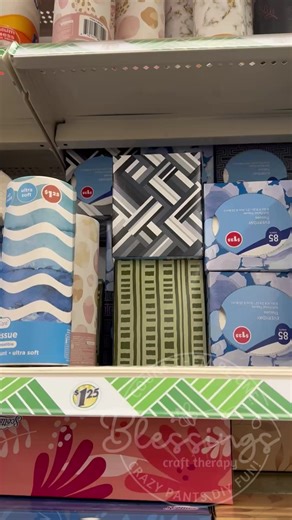 Dollar Tree Has Tissues in a Tube?! Game Changer! #blessingscrafttherapy #easycrafts #dollartree | Blessings Craft Therapy