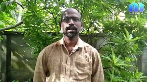 3.8K views · 67 reactions | ഇലയിൽ പുഞ്ചിരിച്ച പിണറായിയും ഗാന്ധിജിയും : ലോക്ഡൗണിൽ ഹിറ്റായി ജോബിയുടെ ലീഫ് ആർട്ട്.... | Mudra vision | Facebook