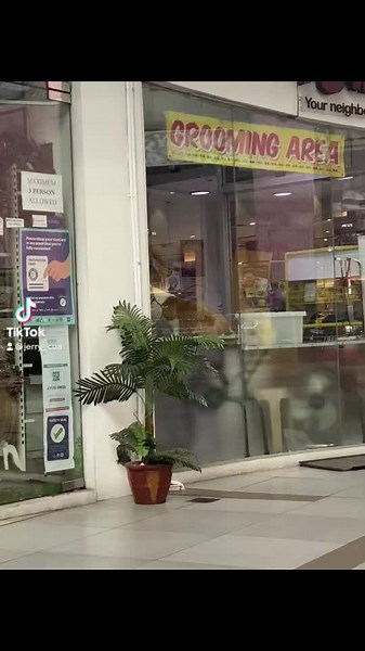 70K views · 2.1K reactions | Mochi! 殺 | Doc Jerry | Facebook