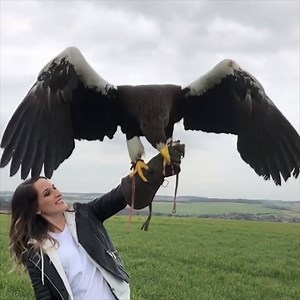 This bird is HUGE 😱 | VT