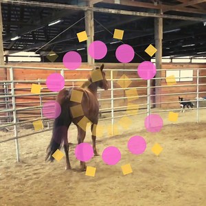 2.5K views · 142 reactions | Little Ms. Pebbles is feeling good and...