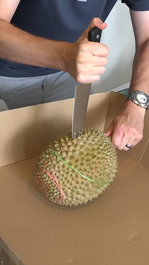 Know any durian lovers? How can they eat this?! 🤮 #whatsinside #durian #durianlovers | What's Inside?