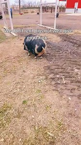 Move!!! #UnrulyRancher #RanchLife #EatBeef #Comedy | The Unruly Rancher