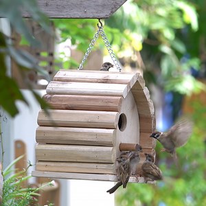 1.2K views · 51 reactions | Most Impressive DIY Wooden Bird House and Bird Feeder For Home Garden | Woodworking Ideas | Facebook