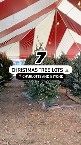16K views · 14 reactions | CHRISTMAS TREE GUIDE: Out with the...