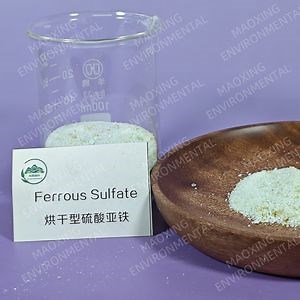 [Hot Item] Premium Food Grade Ferrous Sulfate for Water Treatment Solutions